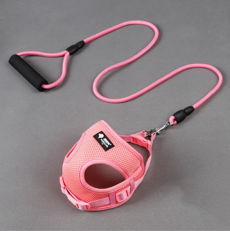 Pet Leash Collar Walking Training Safety Set
