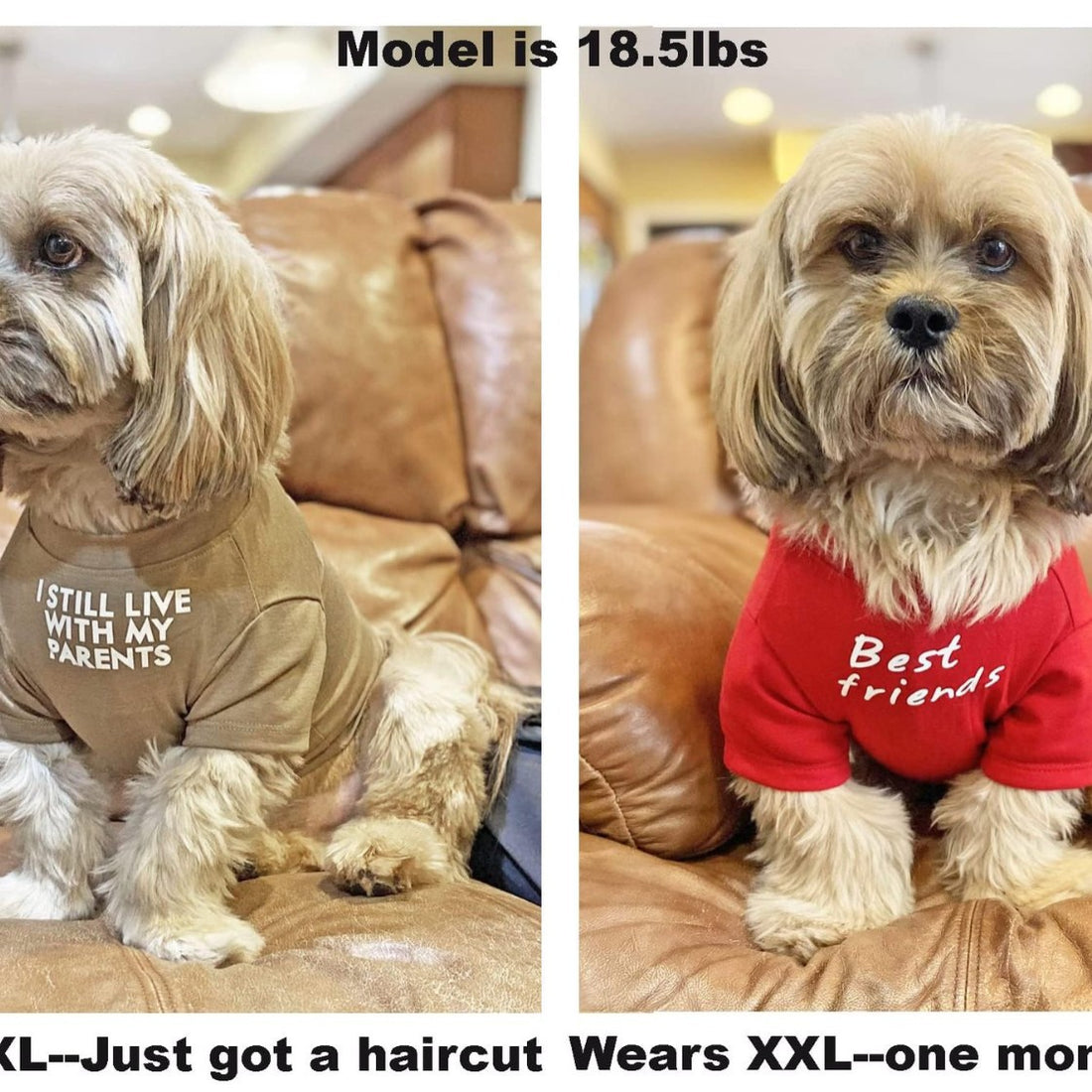 Round Neck Pet T-Shirt