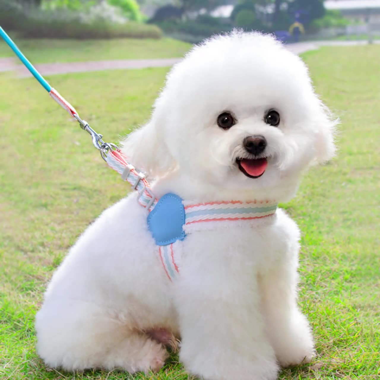 Breathable Summer Vest Style Pet Harness Leash