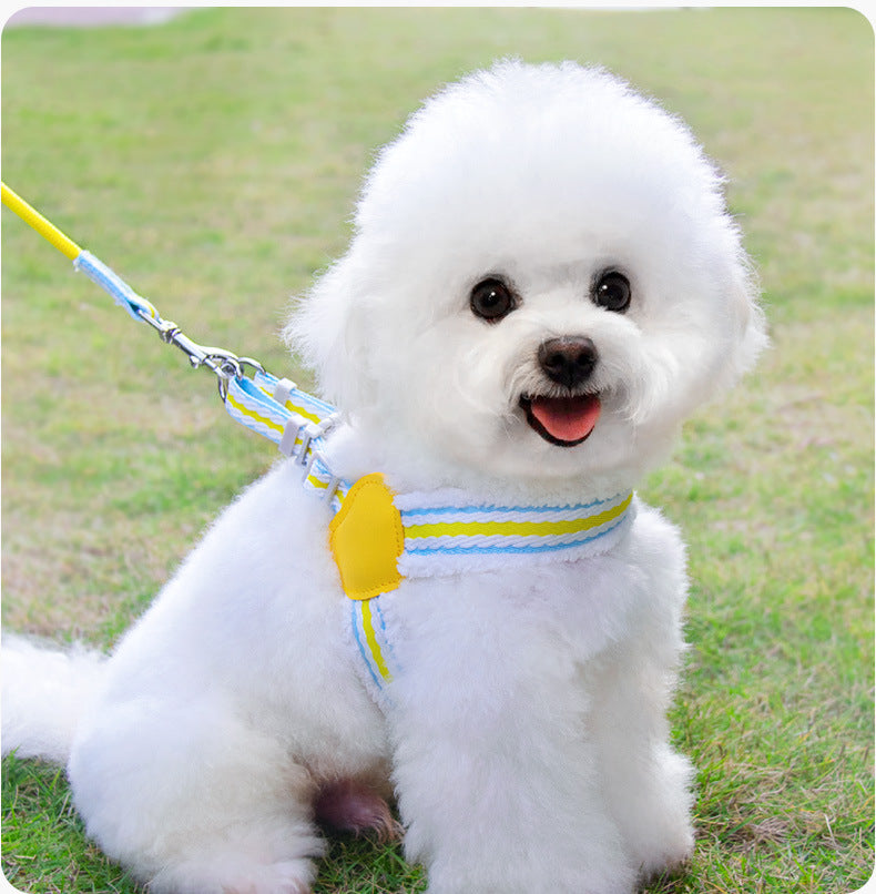 Breathable Summer Vest Style Pet Harness Leash