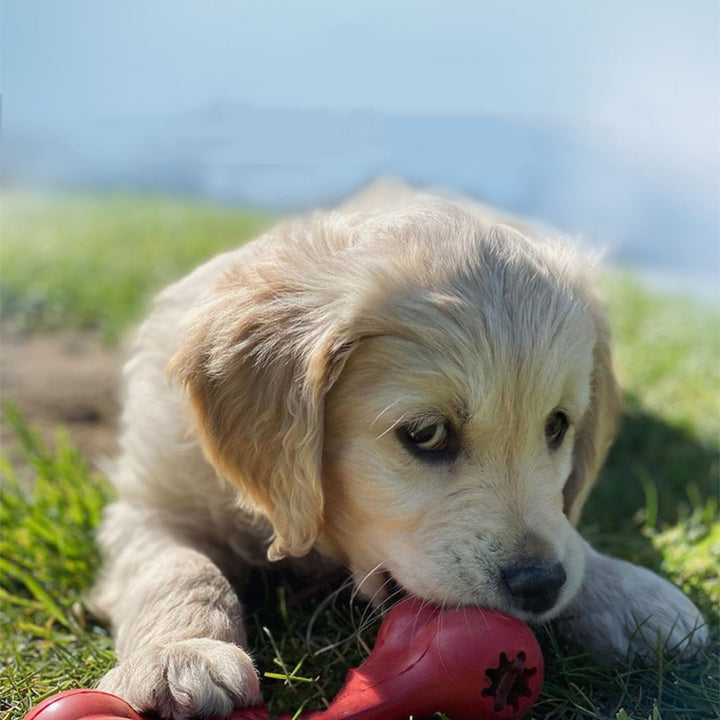 Bite Resistant Rubber Grinding Chew Pet Toy