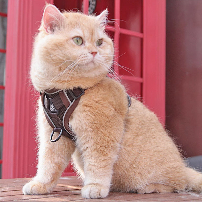 New Vest Style Pet Chest Harness With Leash