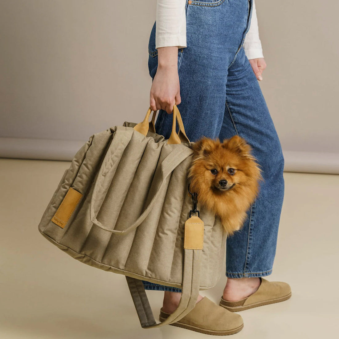 Pet Carrier Waterproof Lightweight Portable Handbag Bag