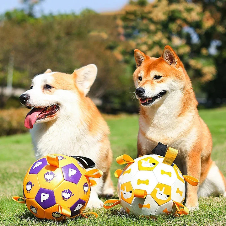 Interactive Football Training Bite Chew Teething Pet Ball Toy