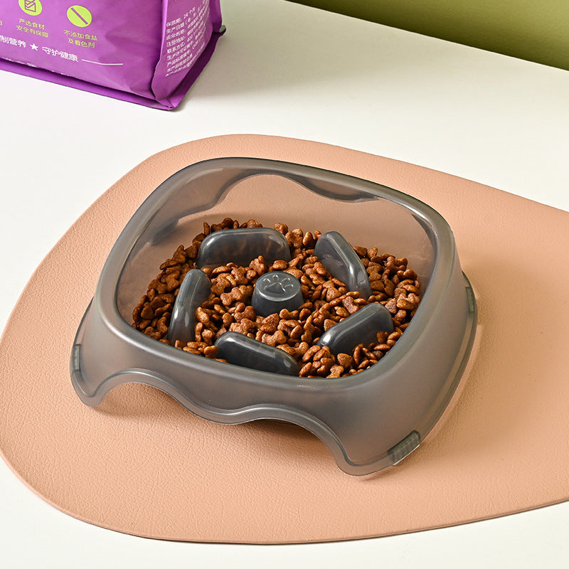 Anti Choking Slow Feeding Pet Water Bowl