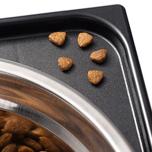 Elevated Anti Tumble Pet Feeding Bowl Neck Support