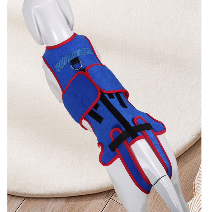 Spine Support Pet Jacket Prevents Hunching