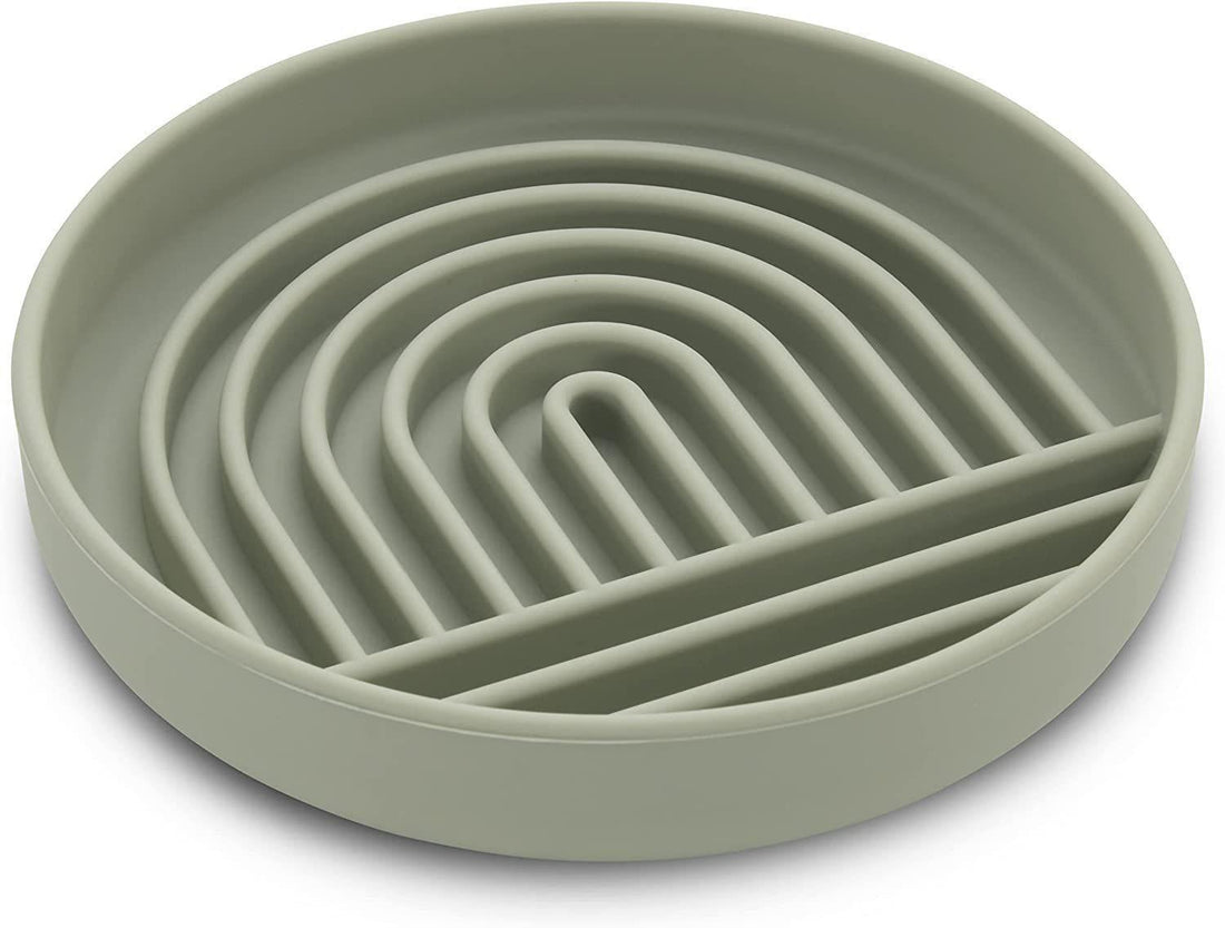 Fashion Simple Slow Feeding Pet Bowl