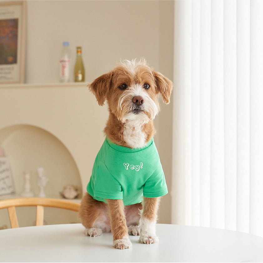 Korean Style Printed Cotton Pet T-Shirt