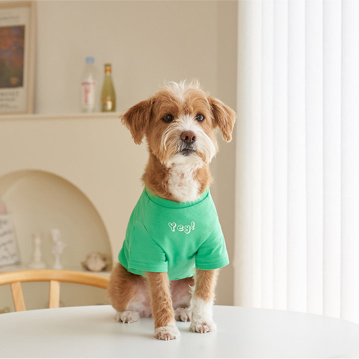 Korean Style Printed Cotton Pet T-Shirt