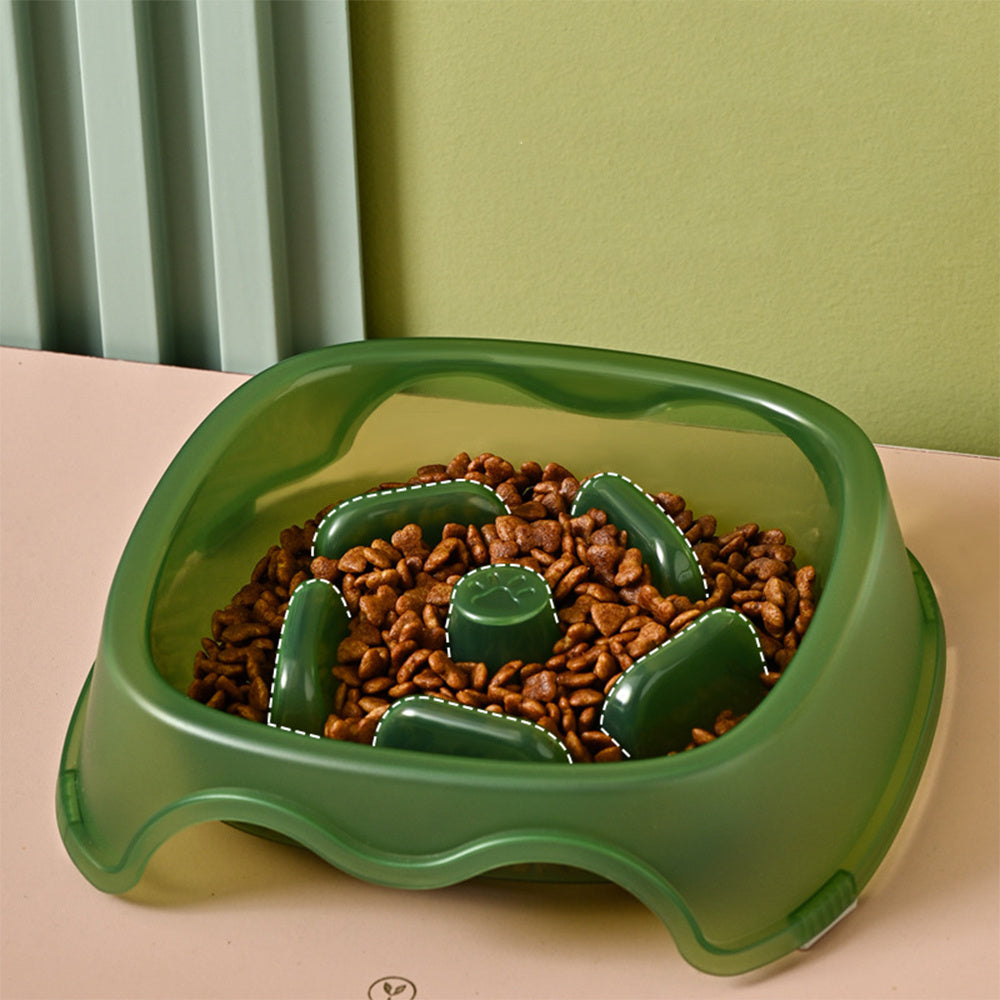 Anti Choking Slow Feeding Pet Water Bowl