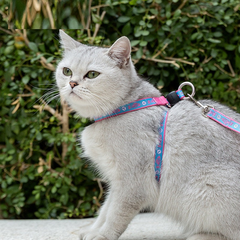Bell Chest Strap Vest Pet Leash Set