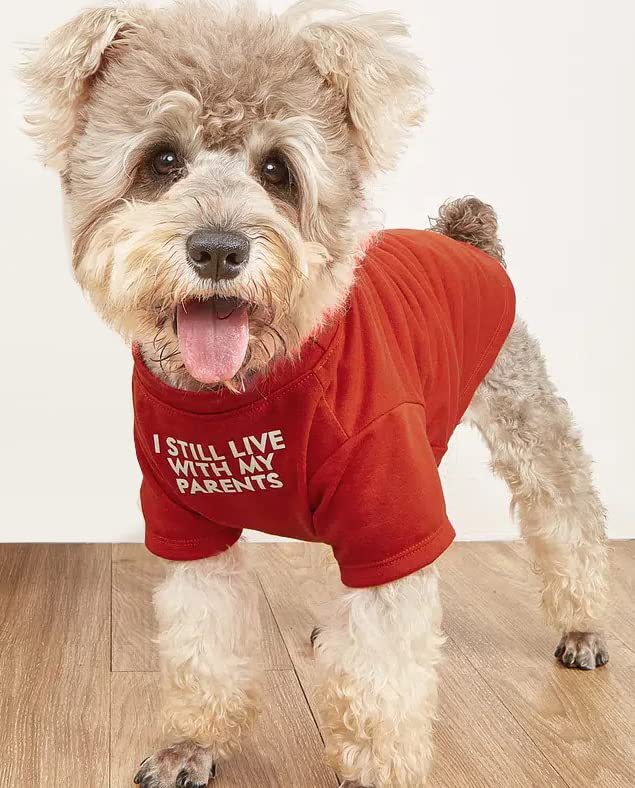 Round Neck Pet T-Shirt