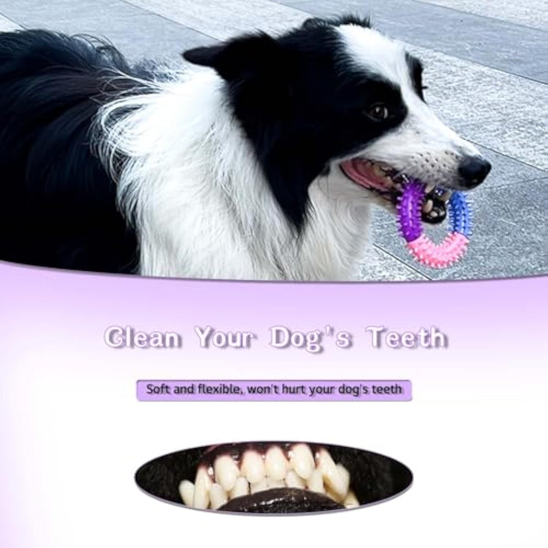 Rubber Teething Chew Ring Toy Pet Dental Care Toy