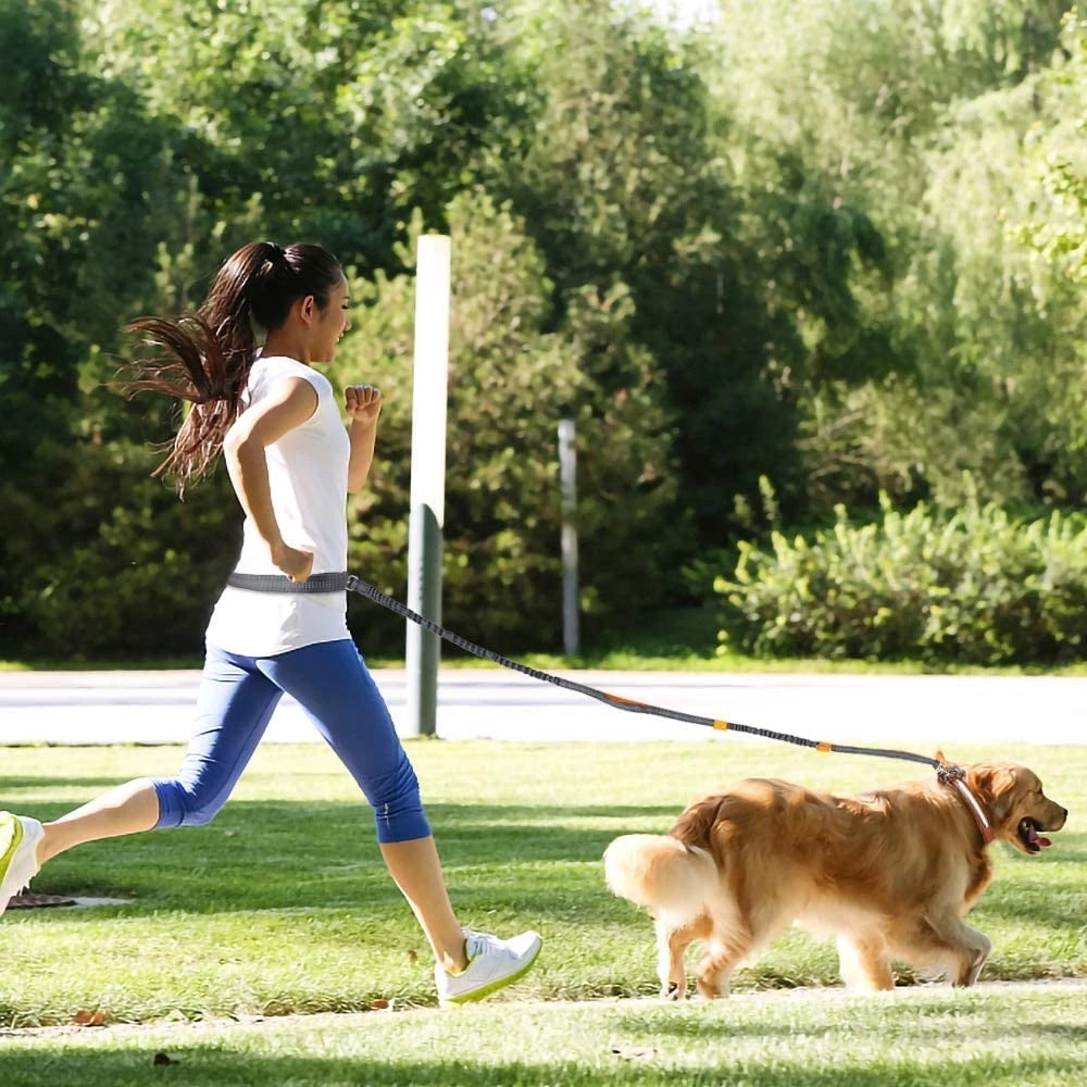 Adjustable Pet Harness Collar Jogging Leash