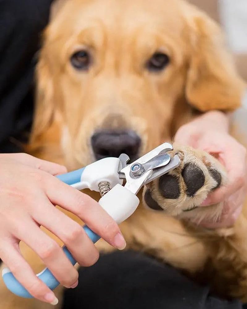 Pet Nail Clippers Indoor Safety Trimming Grooming Tool