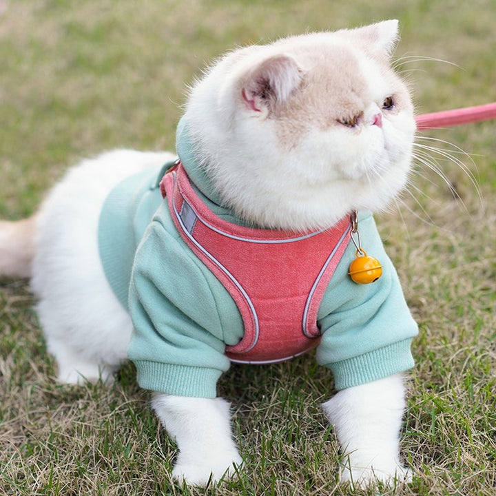 Pet Chest Harness Vest Type Leash Training Gear