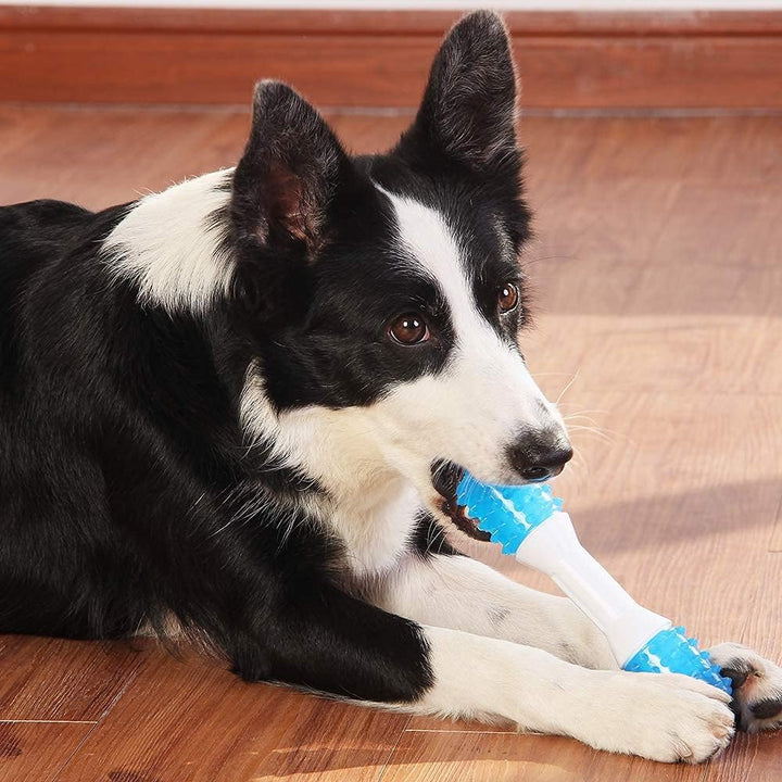 Puppy Teething Chew Pet Toy Dental Care Rubber Ball Promotes Oral Health