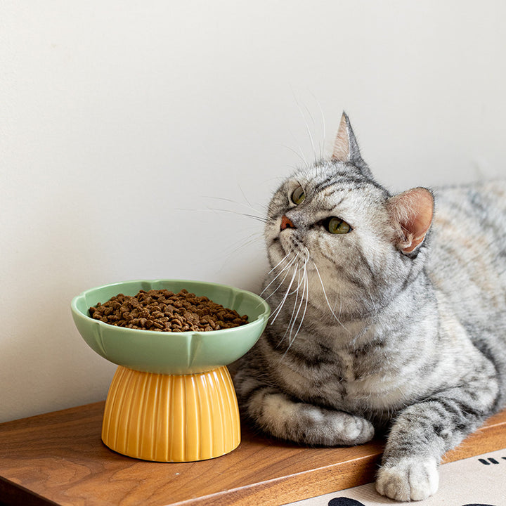 Candy Color Ceramic Feeding Pet Bowl