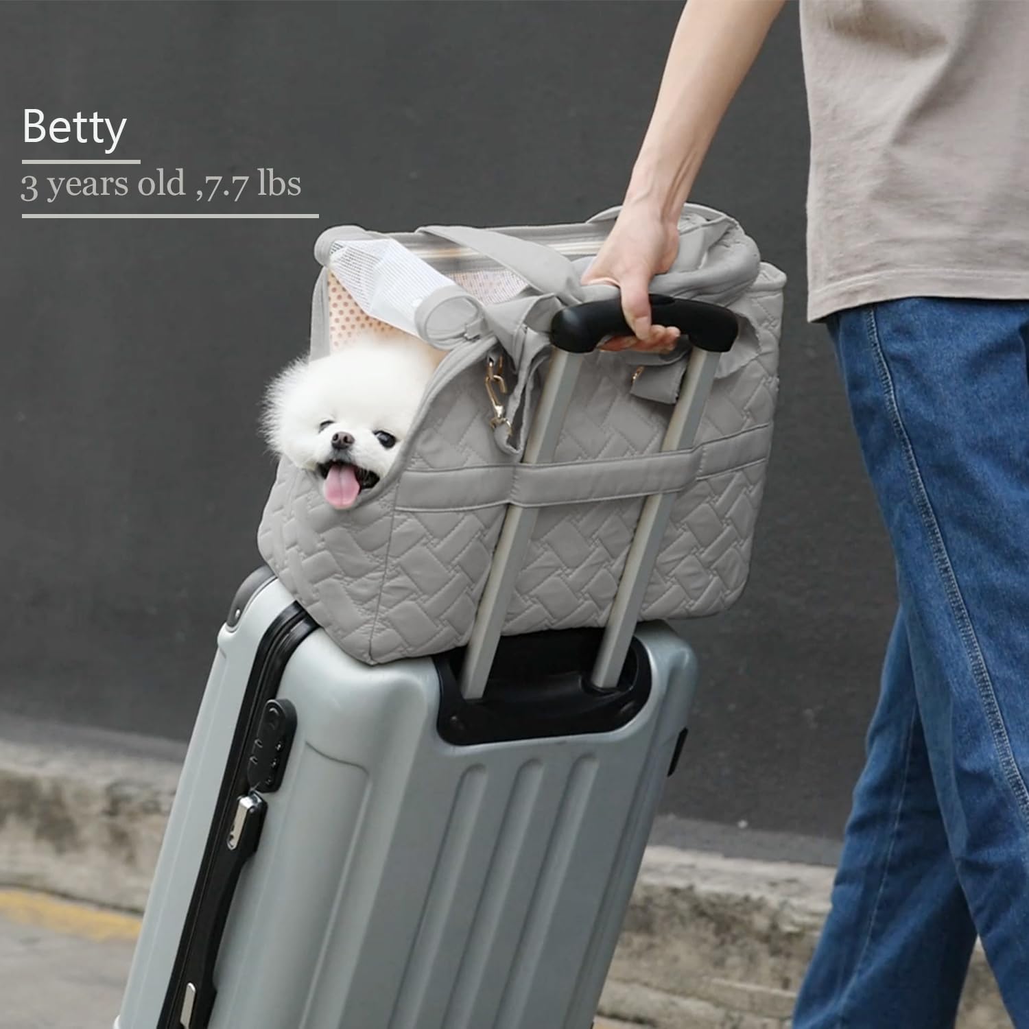 Pet Carrier Breathable Mesh Soft Cushion Travel Tote Bag