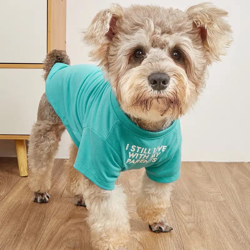 Round Neck Pet T-Shirt