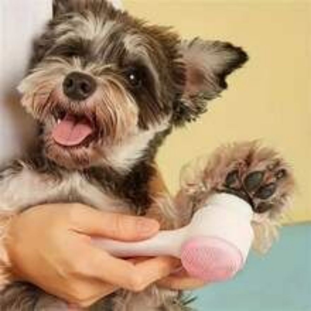Pet Grooming Brush Nylon Paw Cleaning Massage Tool