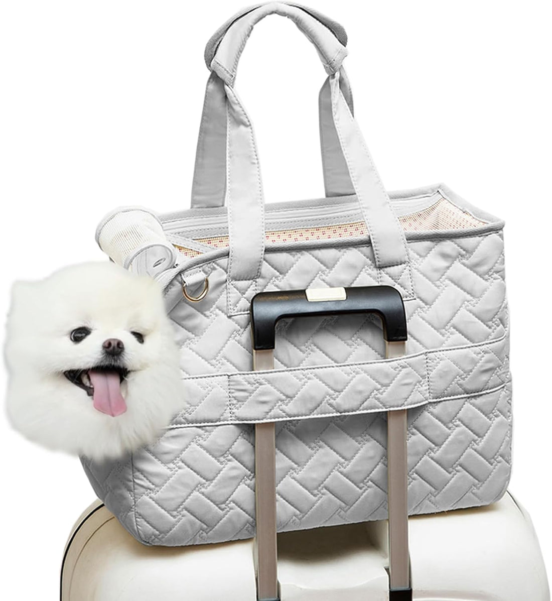Pet Carrier Breathable Mesh Soft Cushion Travel Tote Bag
