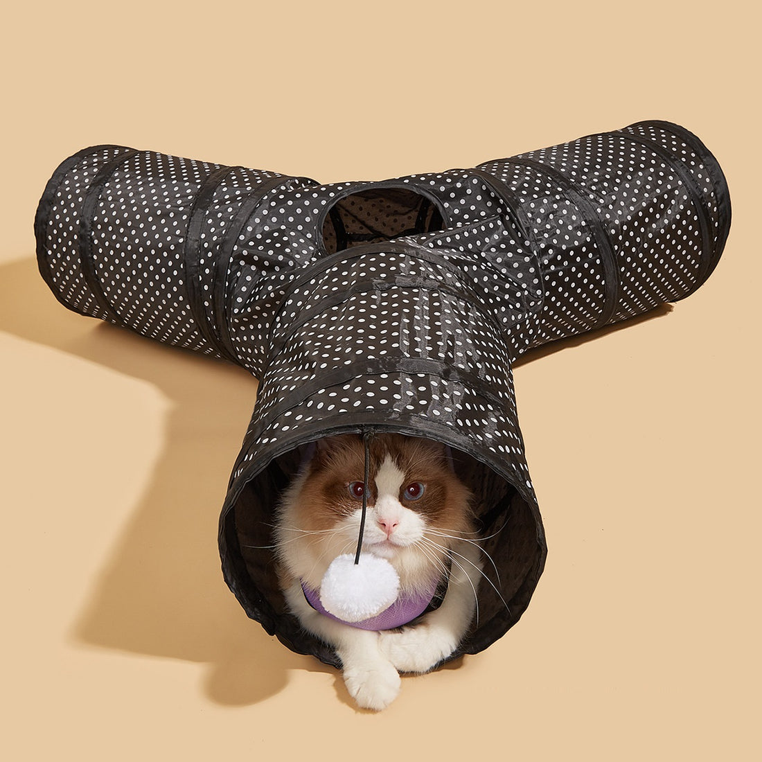 Collapsible Channel Interactive Pet Toy Supplies