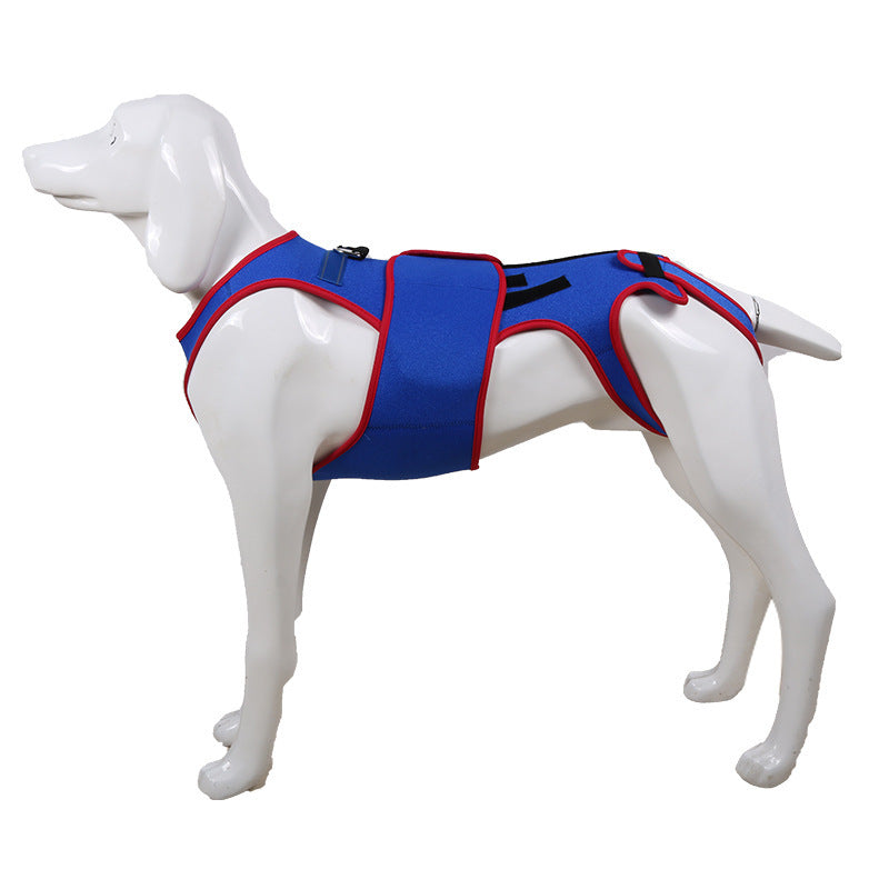 Spine Support Pet Jacket Prevents Hunching