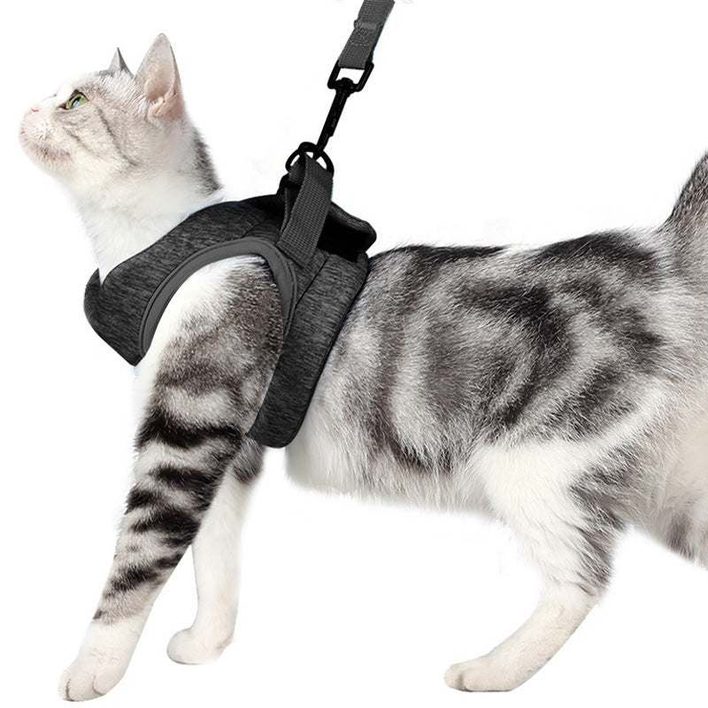 Pet Chest Strap Lace Rope Breathable Lightweight Harness Leash
