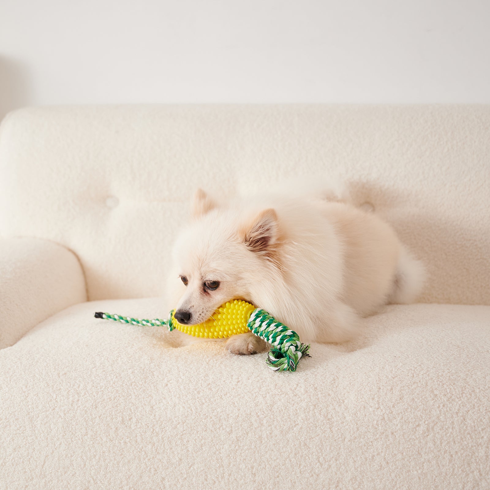 Interactive Corn Toothbrush Chew Toy Dental Care Pet Toy For Aggressive Chewers