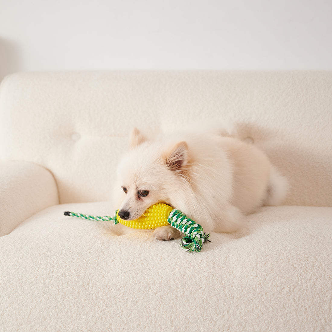 Interactive Corn Toothbrush Chew Toy Dental Care Pet Toy For Aggressive Chewers