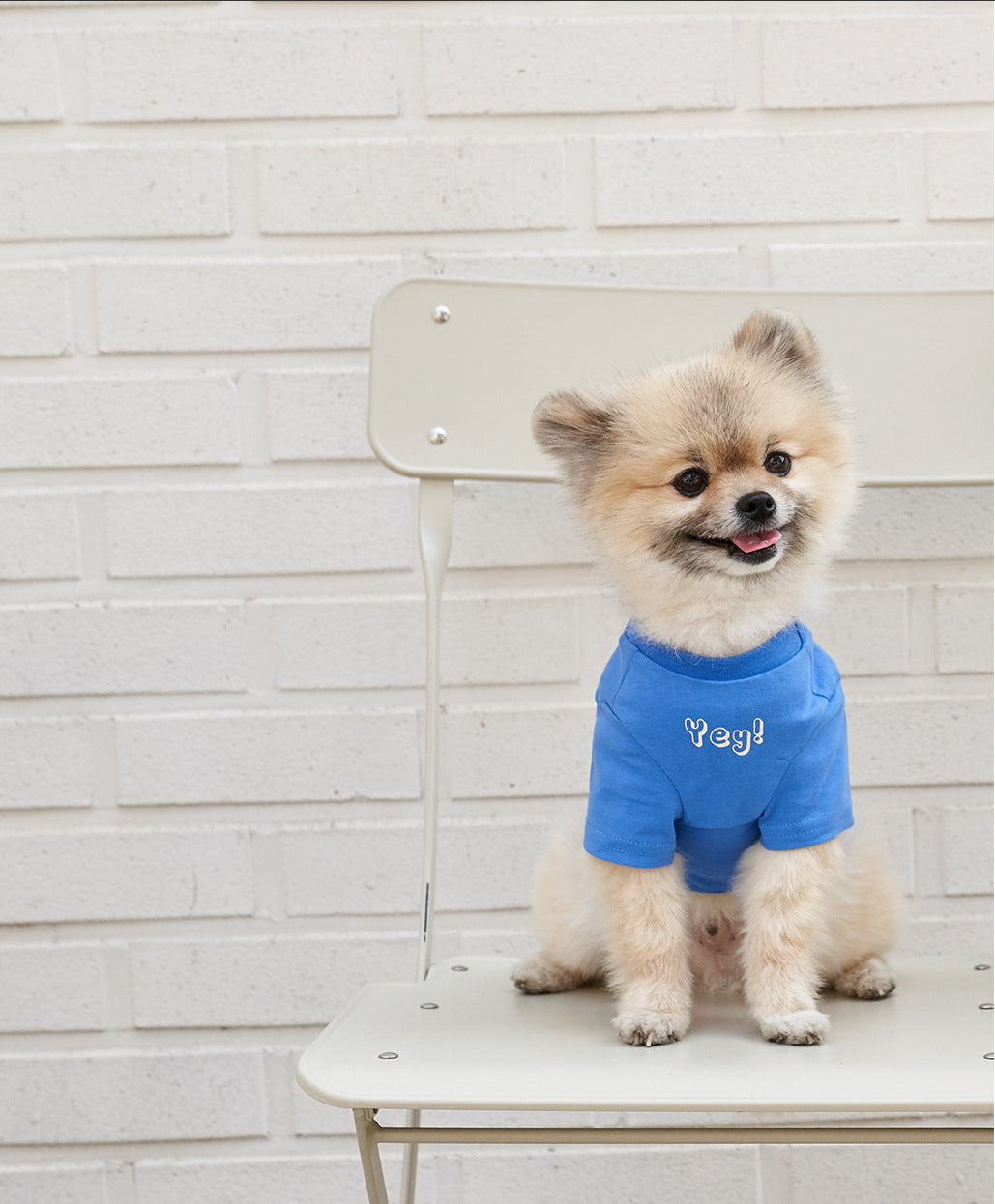 Korean Style Printed Cotton Pet T-Shirt