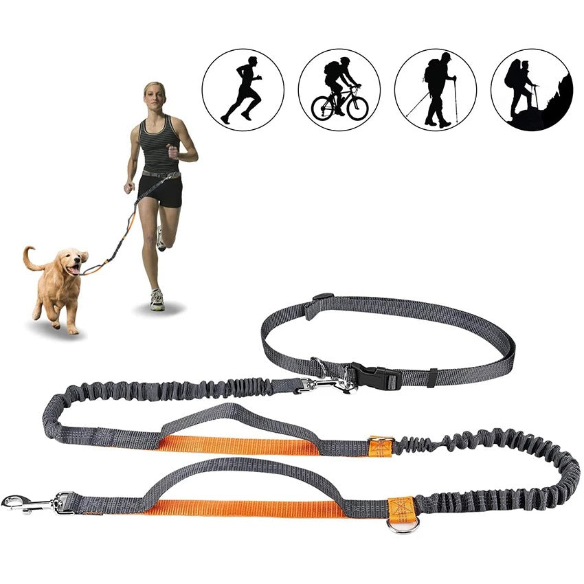 Adjustable Pet Harness Collar Jogging Leash