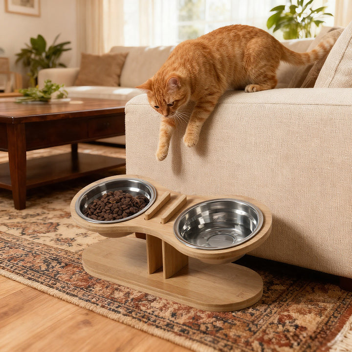 Adjustable Tilted Pet Feeding Stand Bowl