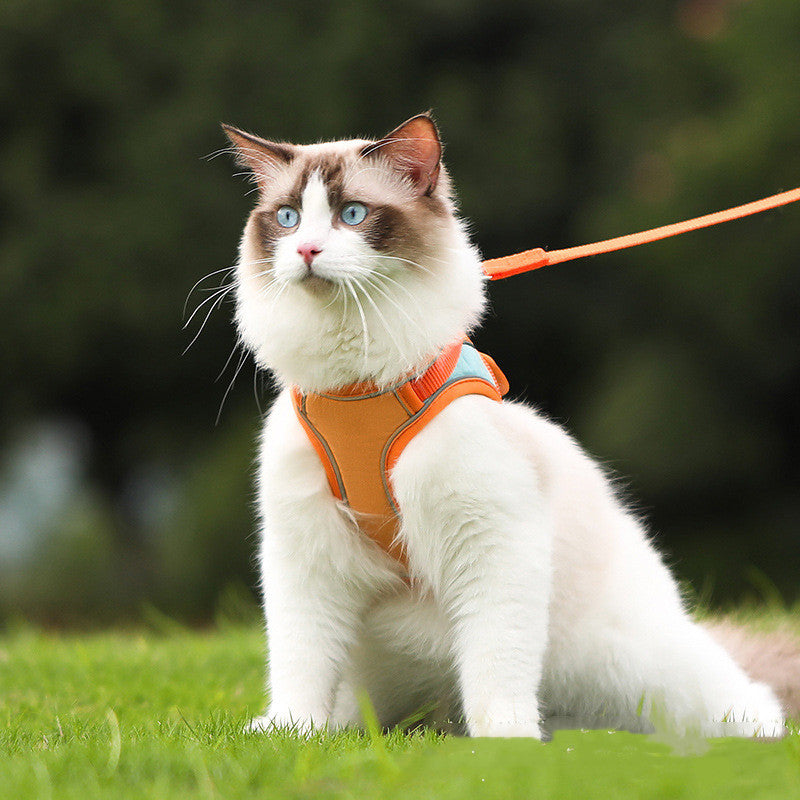 Pet Reflective Anti Escape Harness Leash Safety Gear