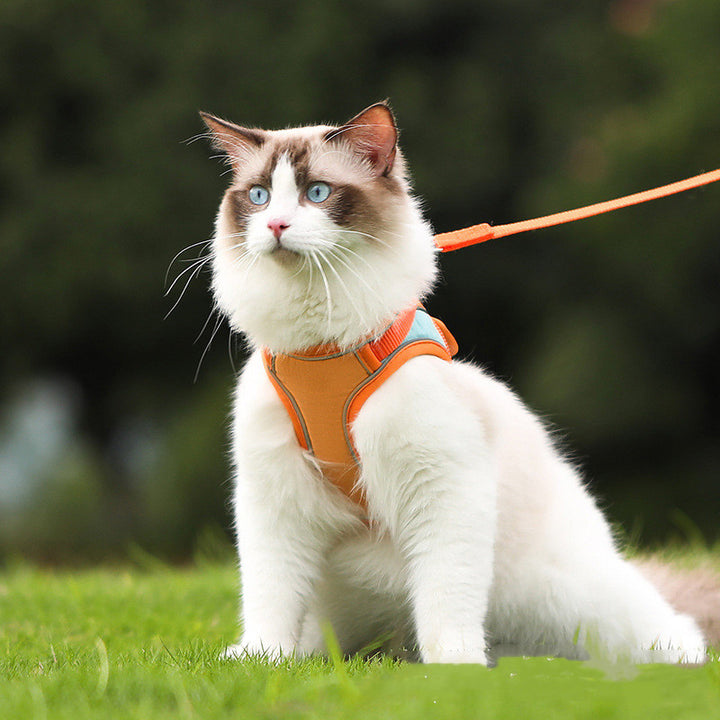Pet Reflective Anti Escape Harness Leash Safety Gear