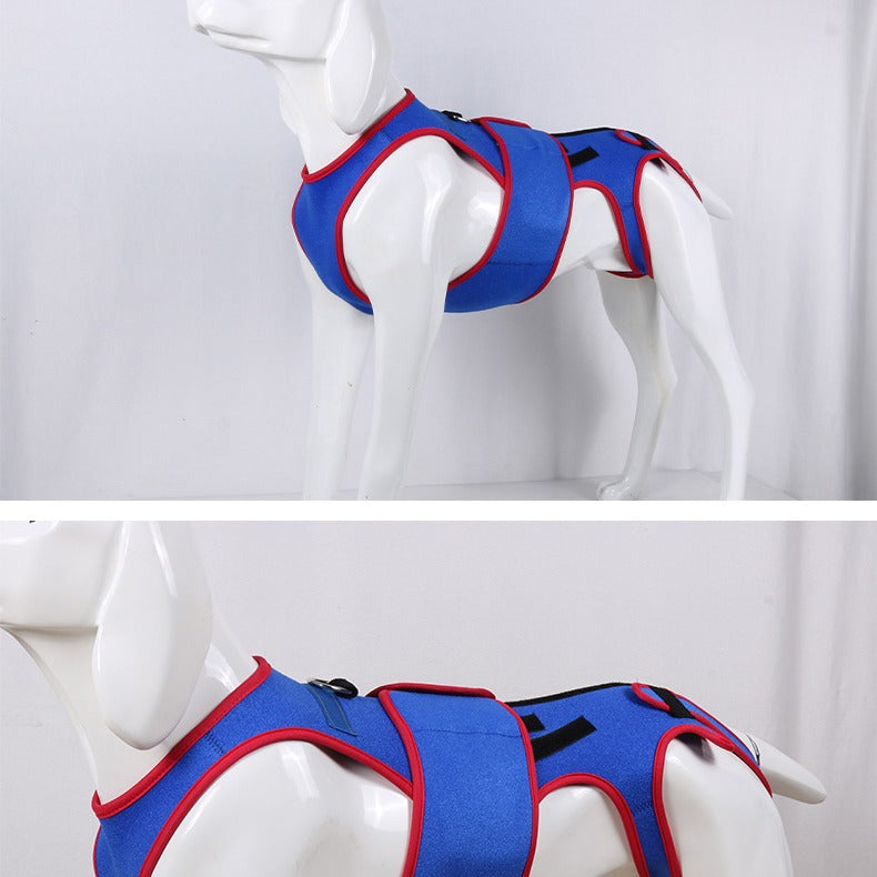 Spine Support Pet Jacket Prevents Hunching