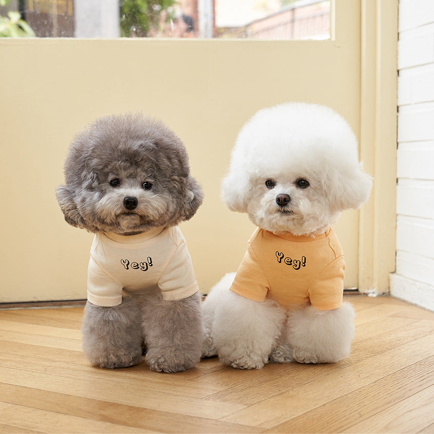 Korean Style Printed Cotton Pet T-Shirt