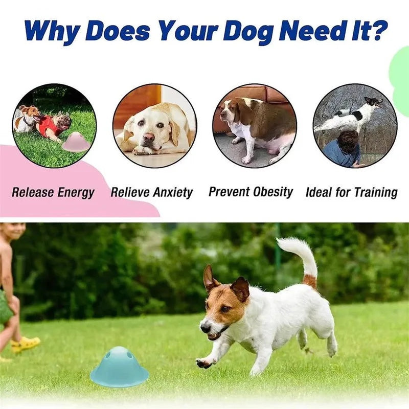 Interactive Chew Puzzle Toy Hidden Treat Pet Supplies