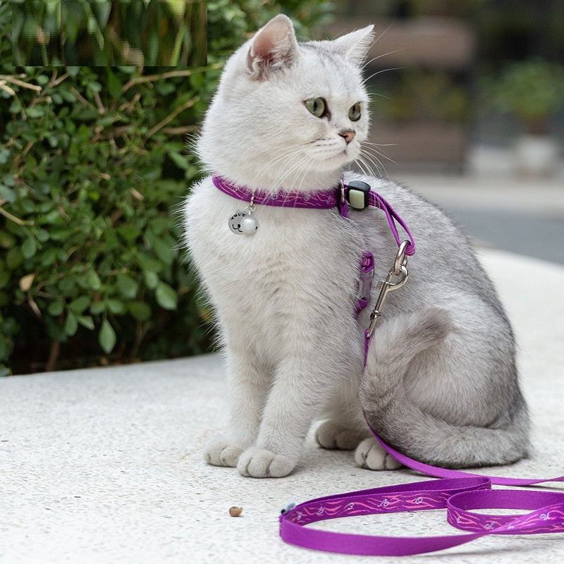 Bell Chest Strap Vest Pet Leash Set
