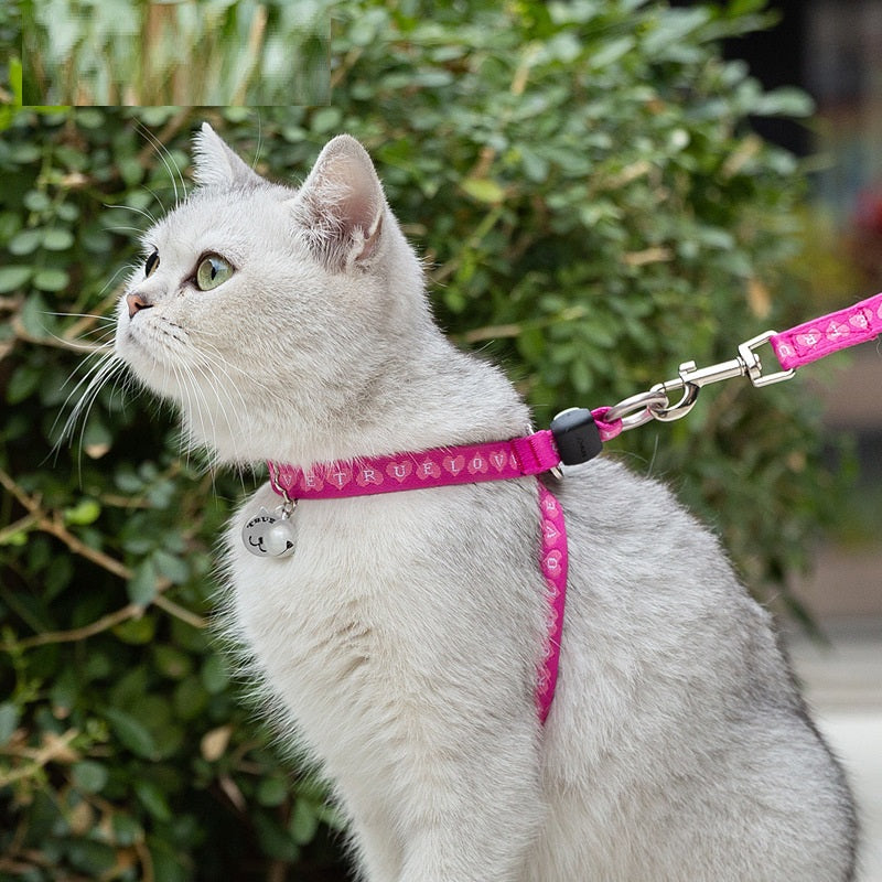 Bell Chest Strap Vest Pet Leash Set