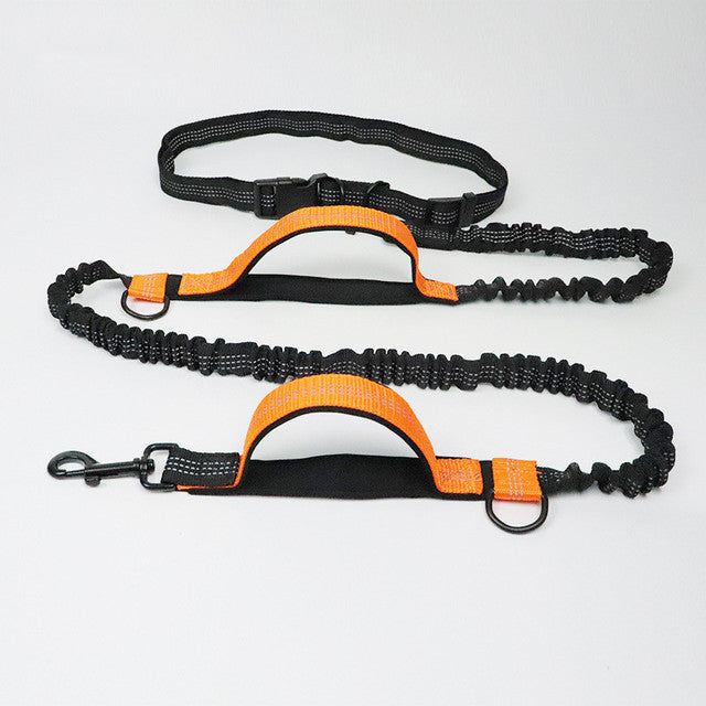 Adjustable Pet Harness Collar Jogging Leash